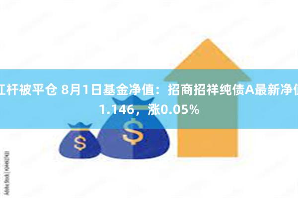 杠杆被平仓 8月1日基金净值：招商招祥纯债A最新净值1.146，涨0.05%