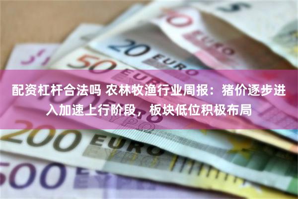 配资杠杆合法吗 农林牧渔行业周报：猪价逐步进入加速上行阶段，板块低位积极布局