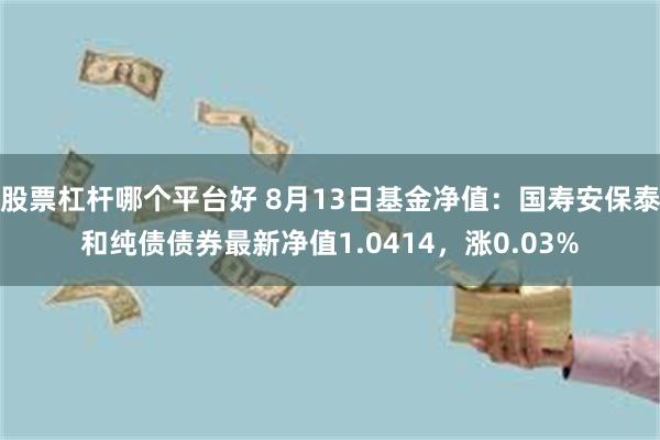 股票杠杆哪个平台好 8月13日基金净值：国寿安保泰和纯债债券最新净值1.0414，涨0.03%