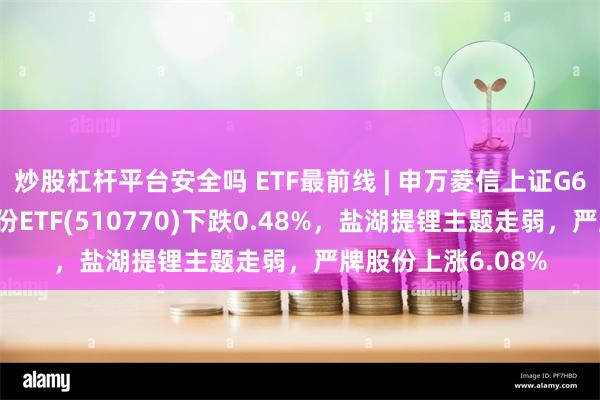 炒股杠杆平台安全吗 ETF最前线 | 申万菱信上证G60战略新兴产业成份ETF(510770)下跌0.48%，盐湖提锂主题走弱，严牌股份上涨6.08%