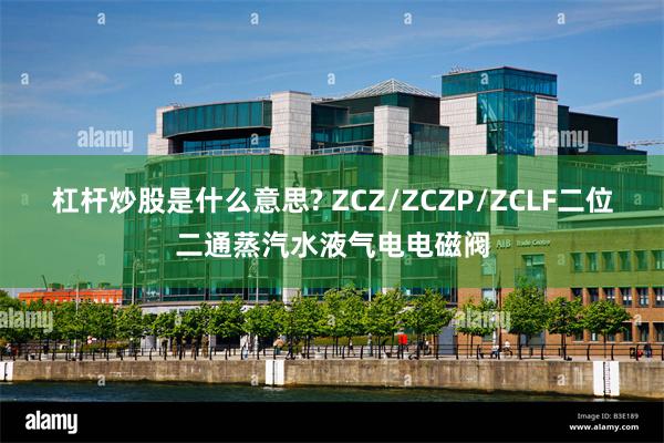 杠杆炒股是什么意思? ZCZ/ZCZP/ZCLF二位二通蒸汽水液气电电磁阀