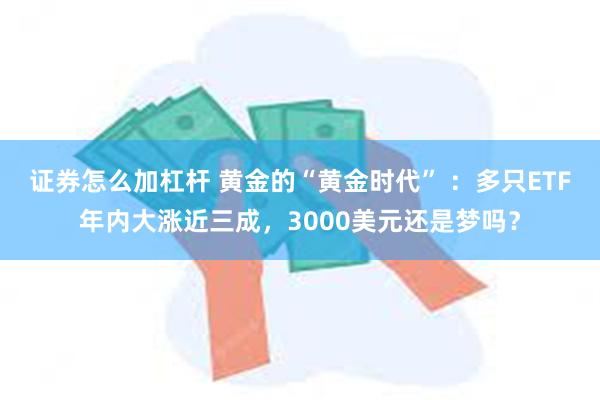 证券怎么加杠杆 黄金的“黄金时代” ：多只ETF年内大涨近三成，3000美元还是梦吗？